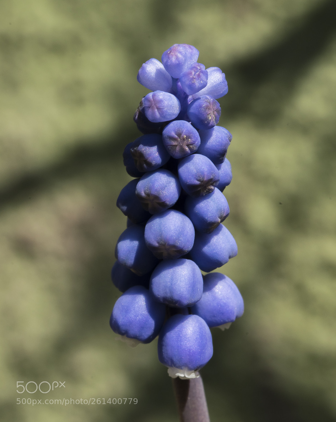 Nikon D5300 sample photo. Aa photography