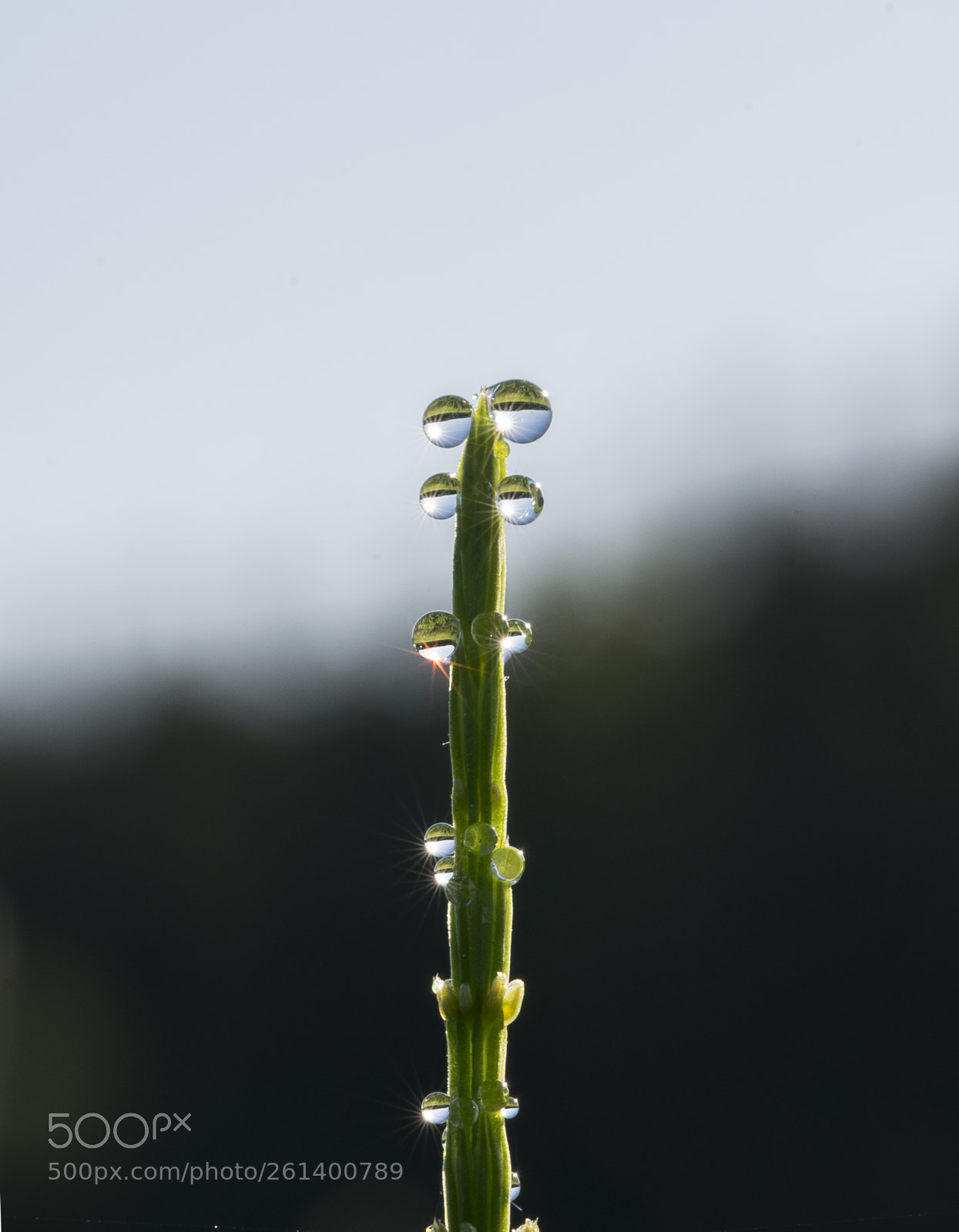 Nikon D5300 sample photo. Aa photography