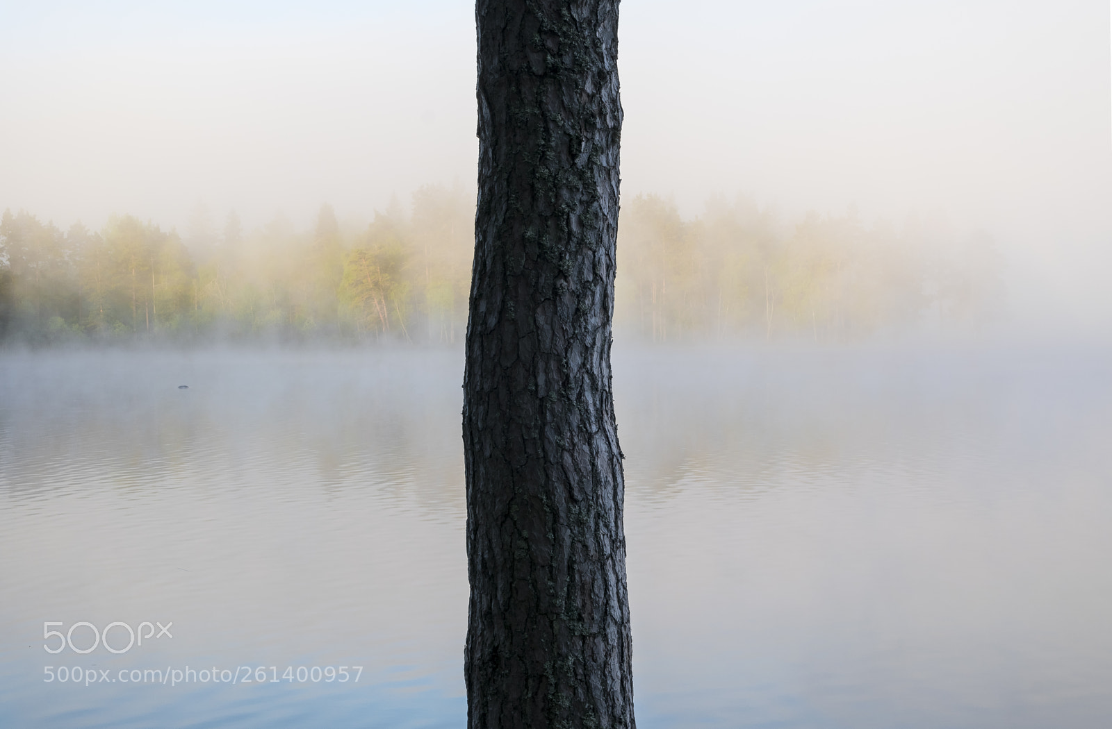 Nikon D5300 sample photo. Aa photography