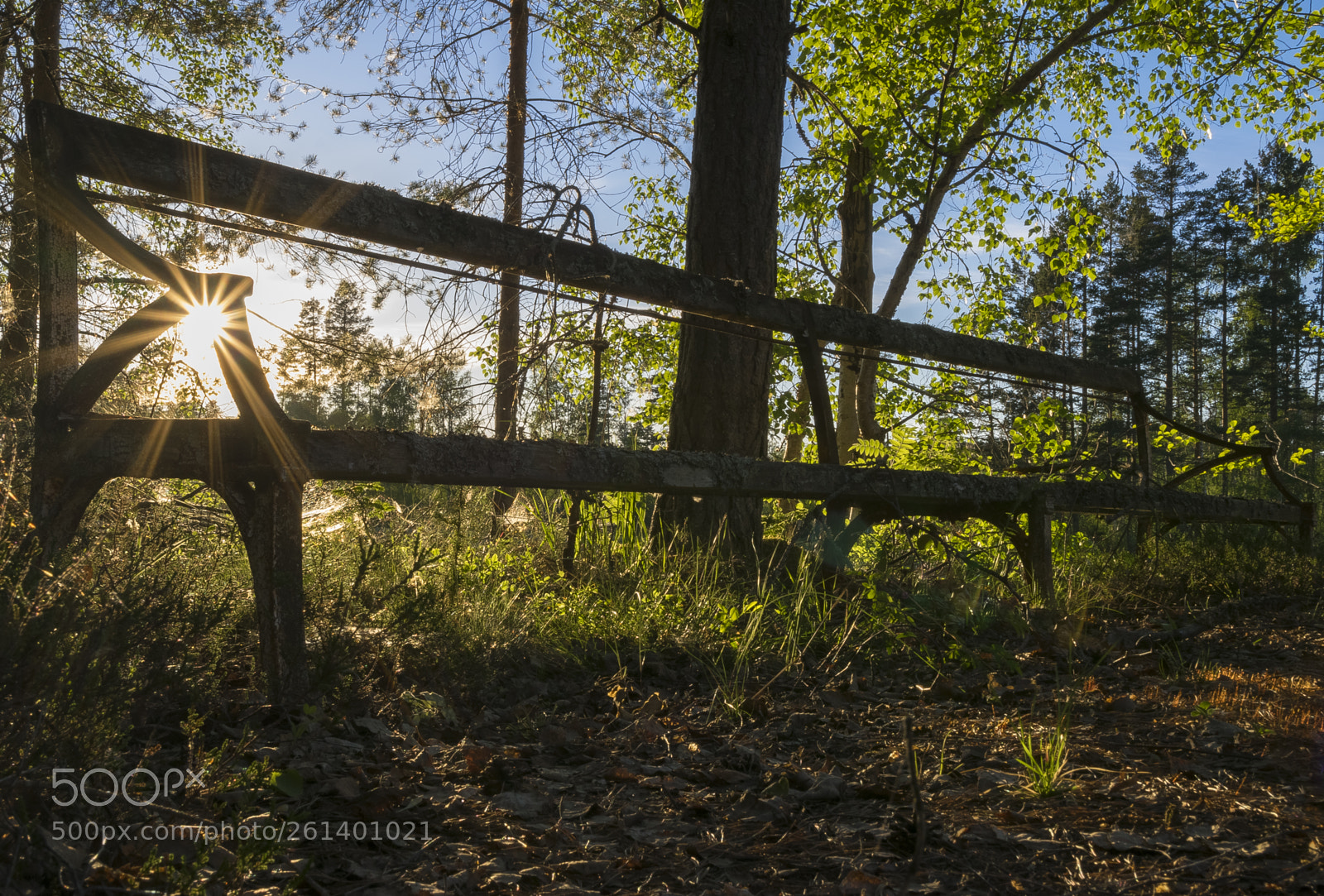 Nikon D5300 sample photo. Aa photography