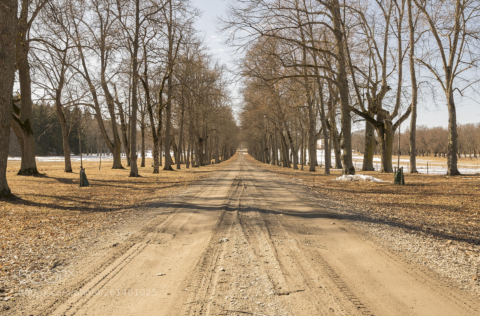 Nikon D5300 sample photo. Aa photography