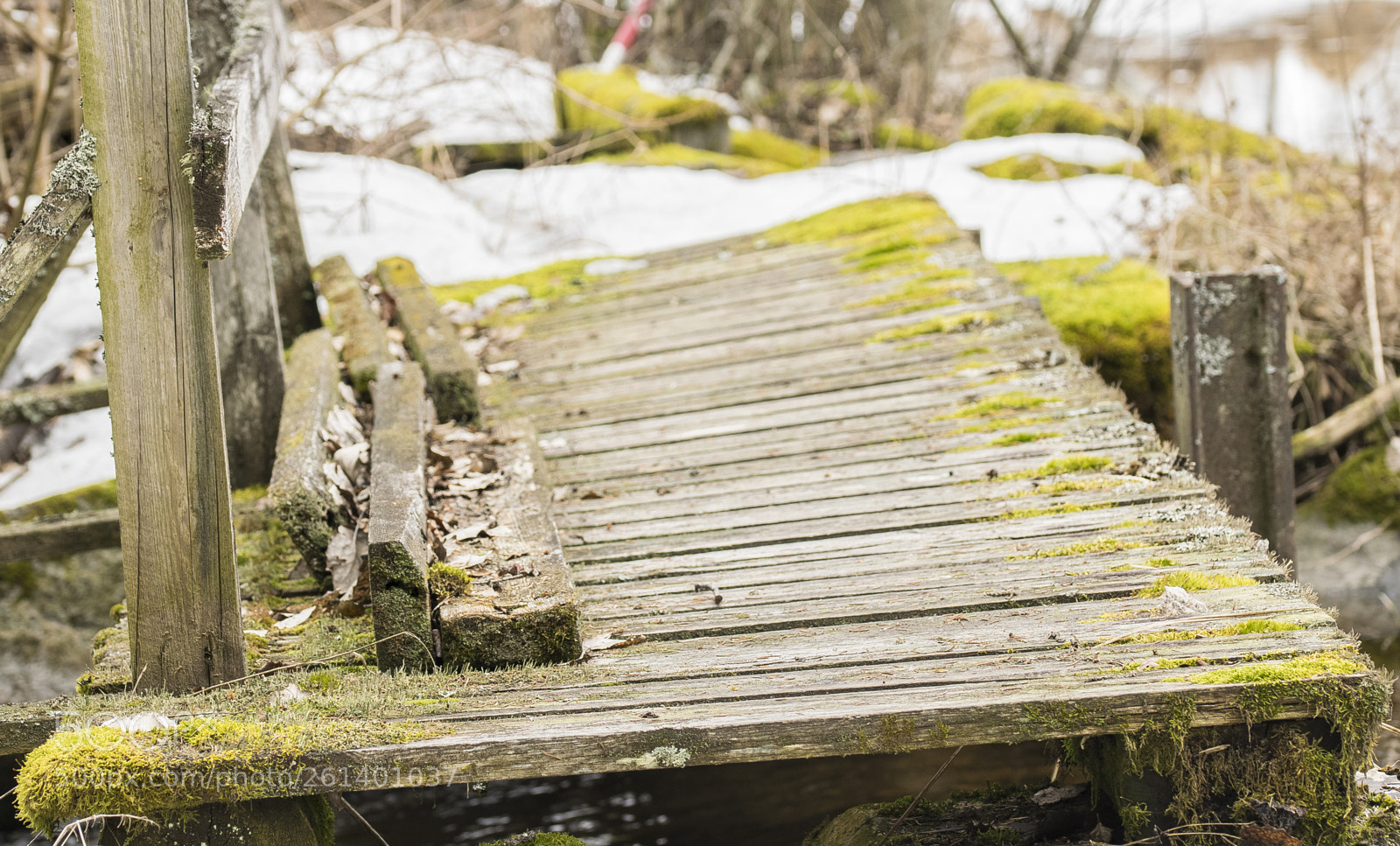 Nikon D5300 sample photo. Aa photography