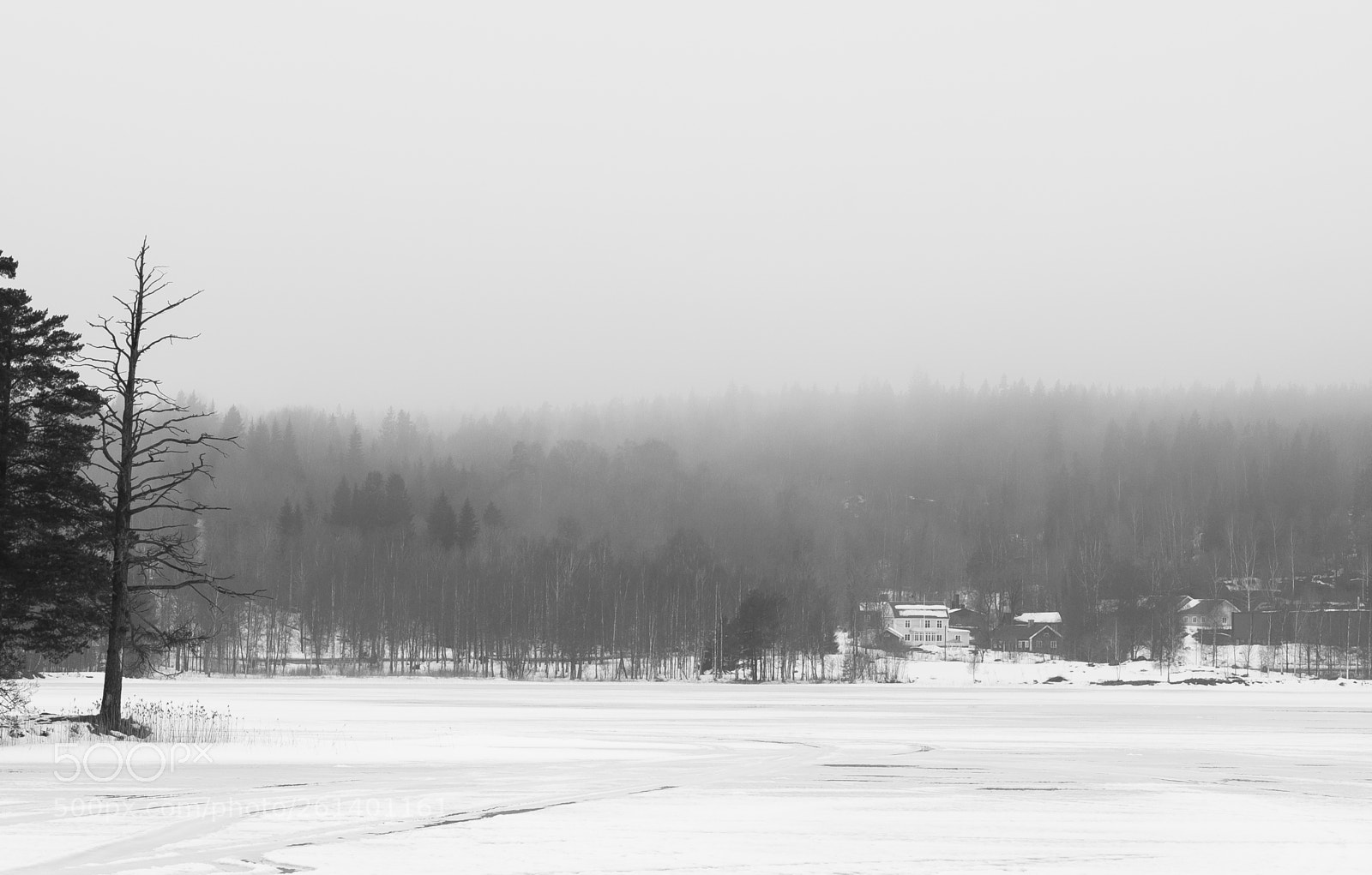 Nikon D5300 sample photo. Aa photography