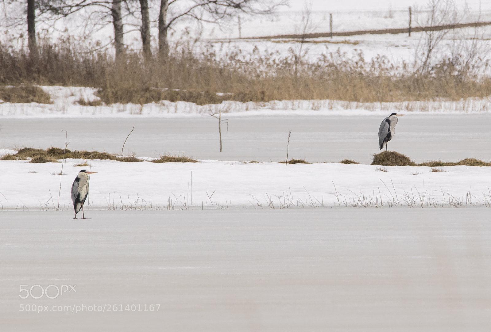 Nikon D5300 sample photo. Aa photography