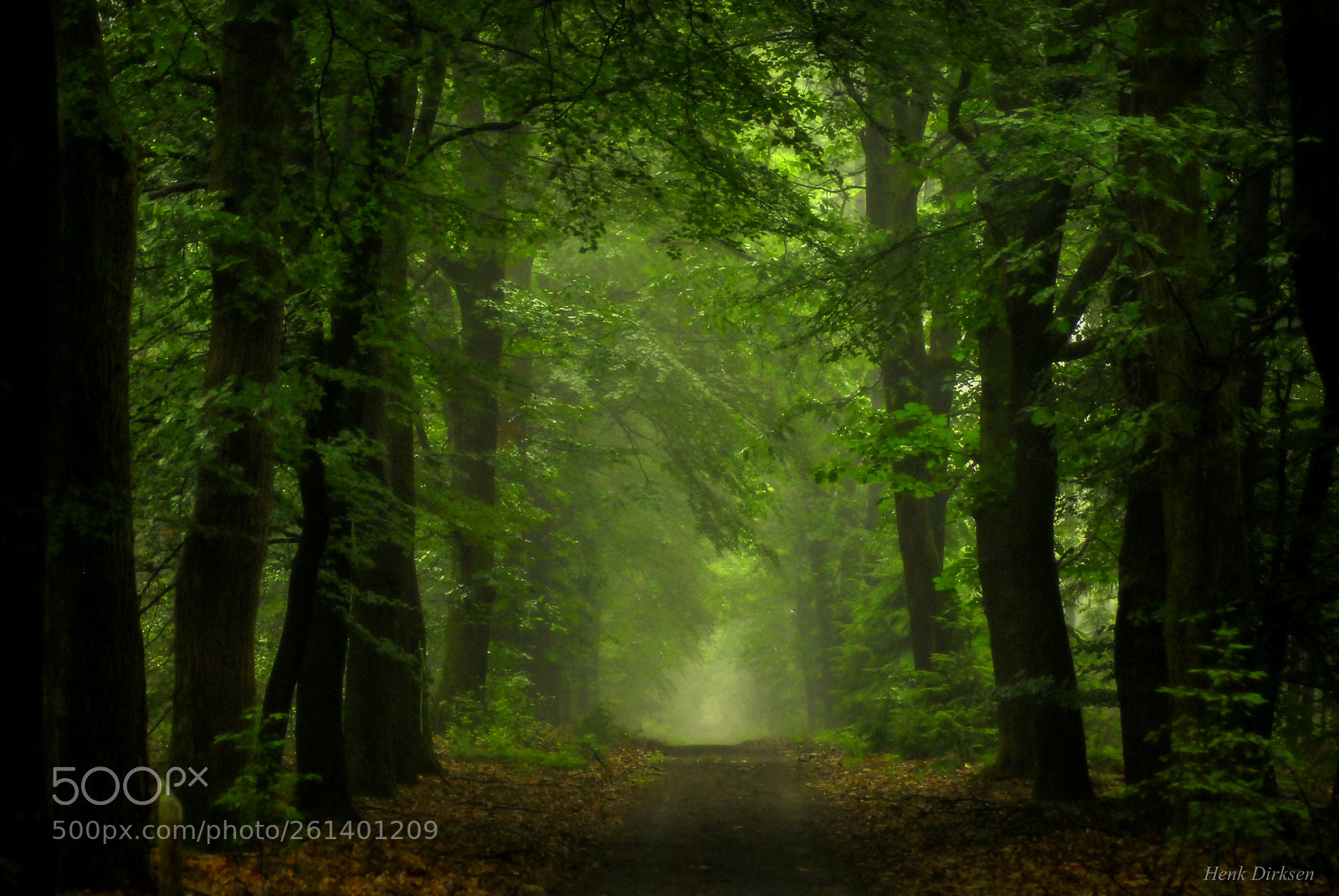 Nikon D200 sample photo. Summerrain photography