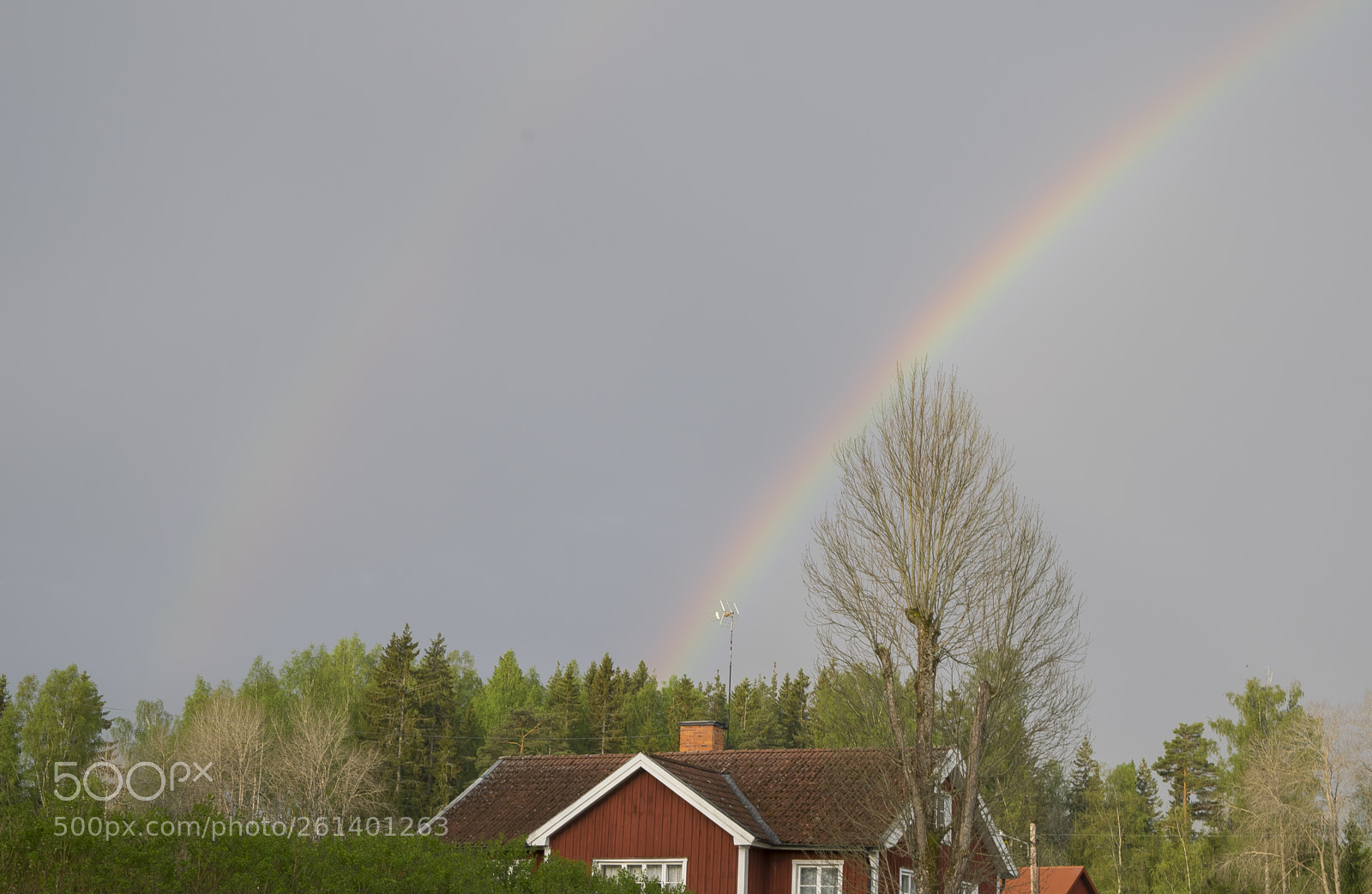 Nikon D5300 sample photo. Aa photography