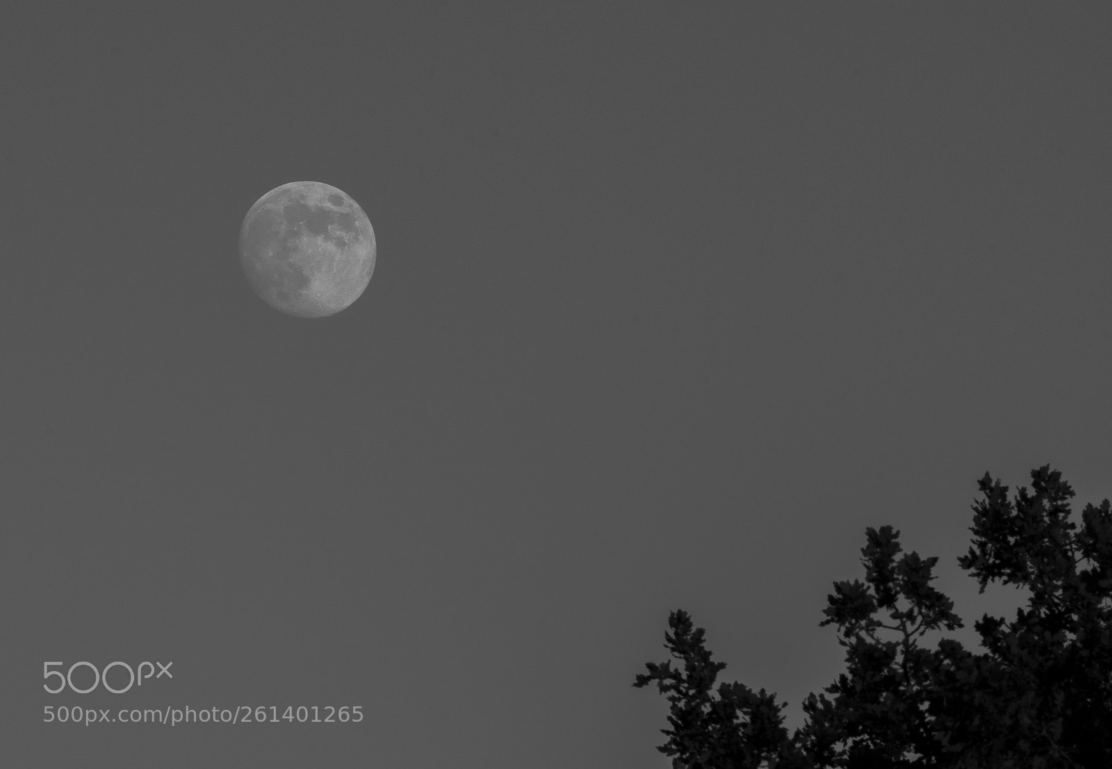 Nikon D5300 sample photo. Aa photography