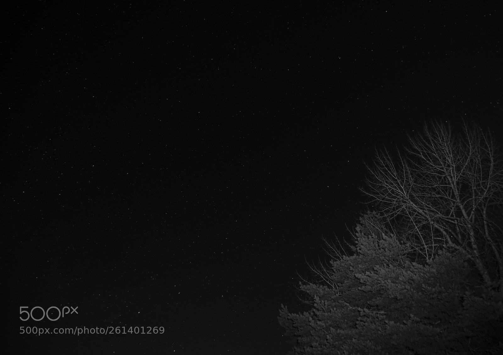 Nikon D5300 sample photo. Aa photography