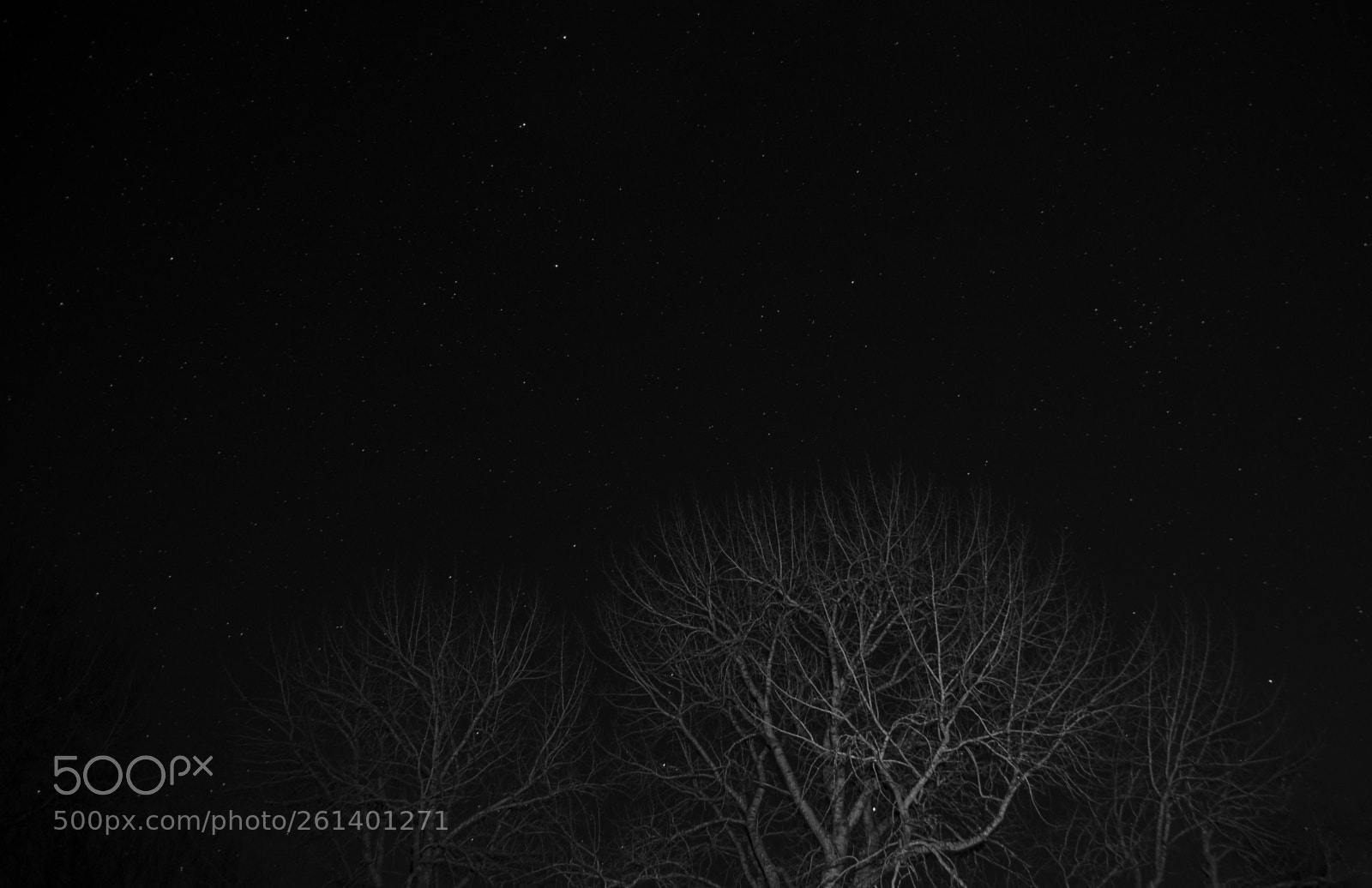 Nikon D5300 sample photo. Aa photography