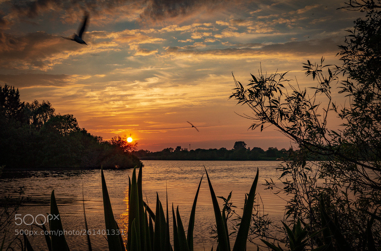 Nikon D3200 sample photo. Sunset at craigavon photography