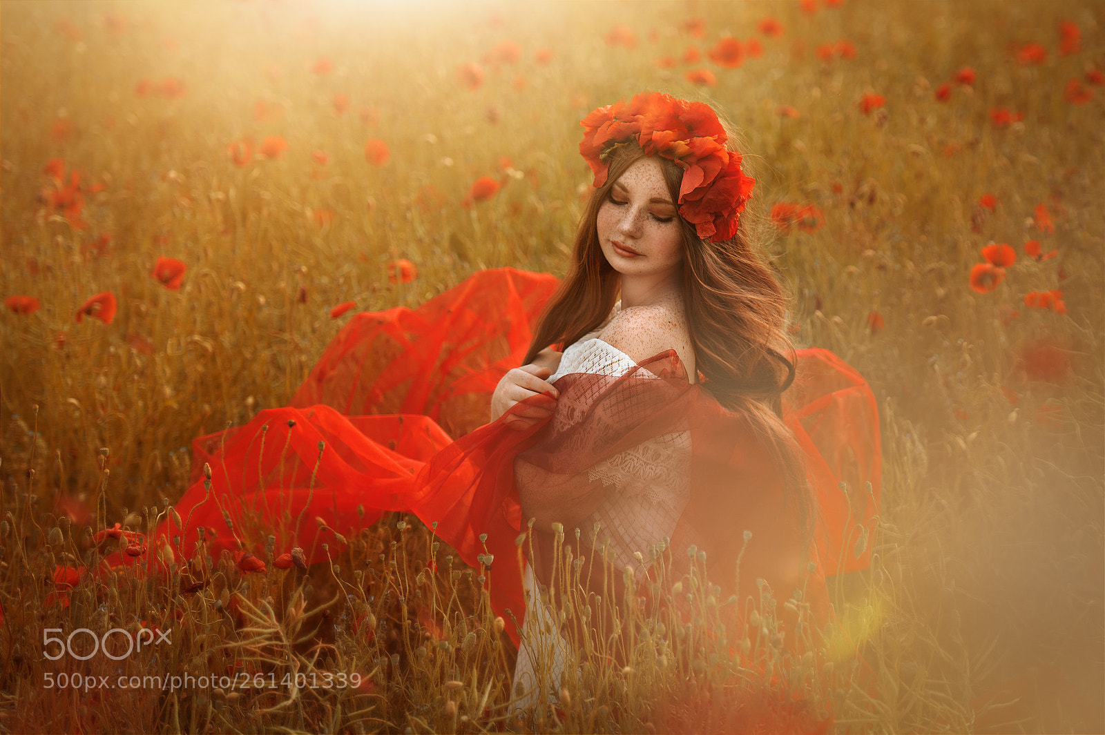 Nikon D750 sample photo. Magic poppies photography