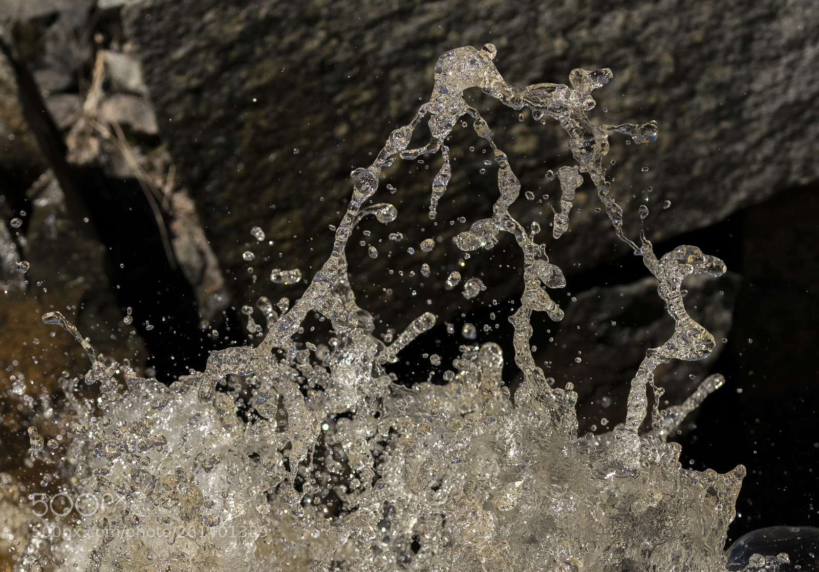 Nikon D5300 sample photo. Aa photography
