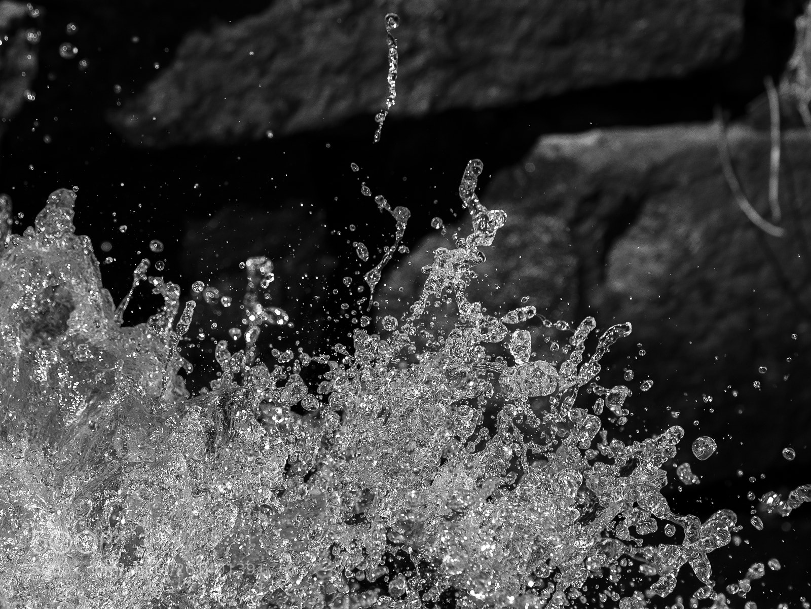 Nikon D5300 sample photo. Aa photography