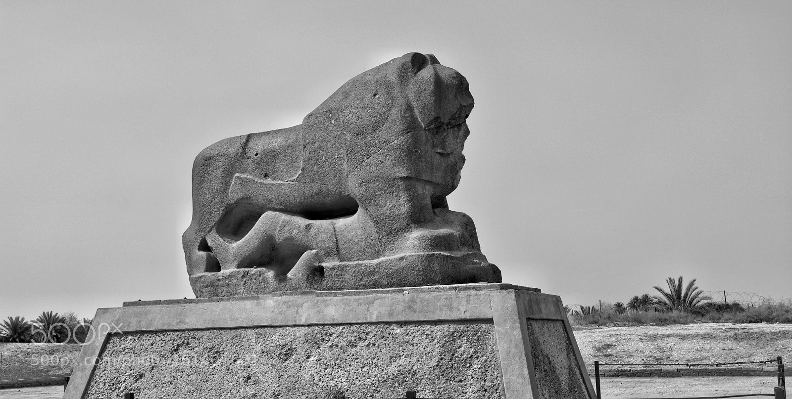 Nikon D5200 sample photo. Lion of babylon photography
