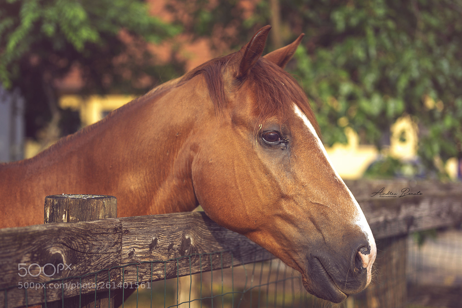 Canon EOS 6D sample photo. Untitled photography