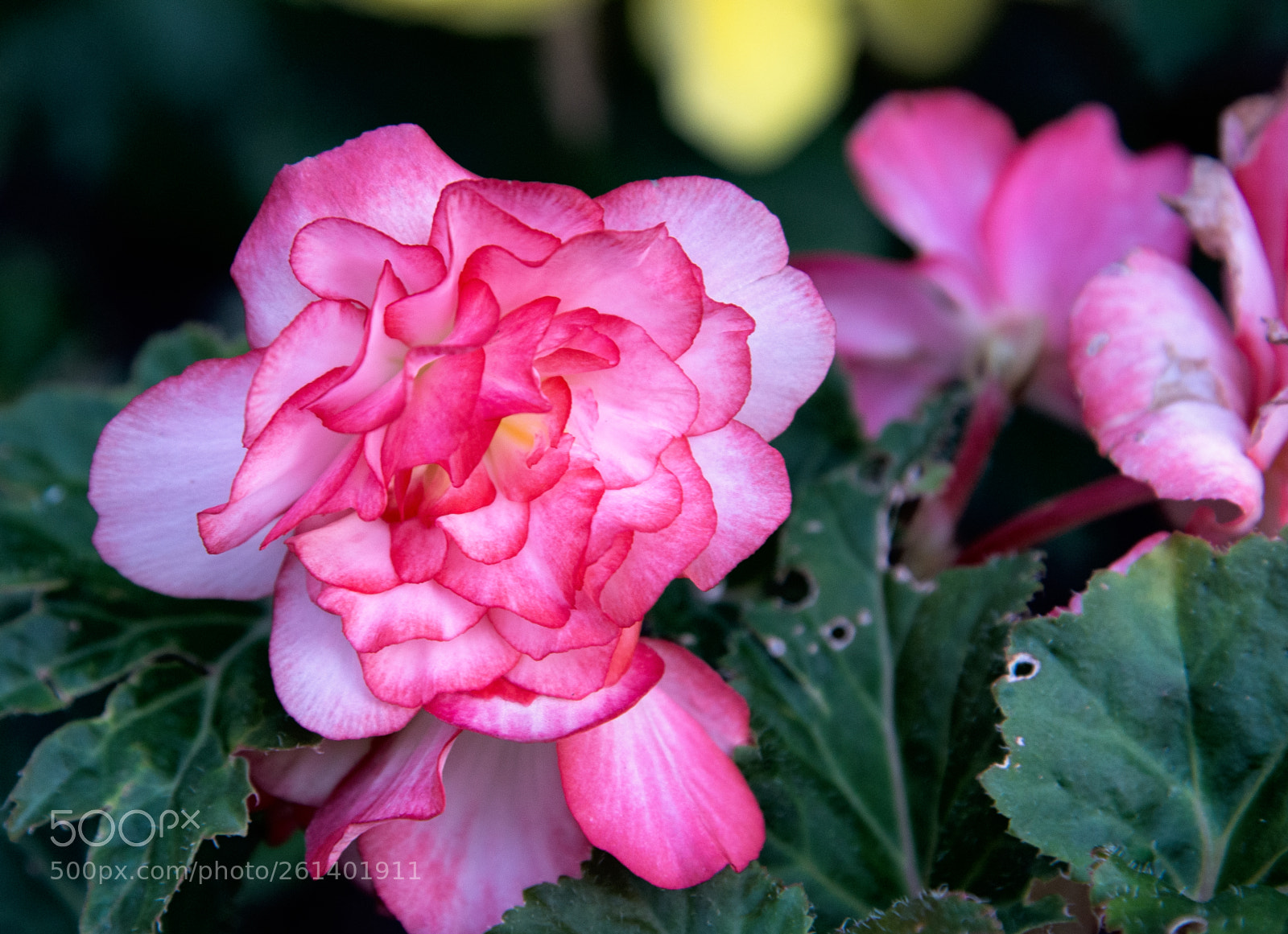 Nikon D610 sample photo. Serenity 02 photography