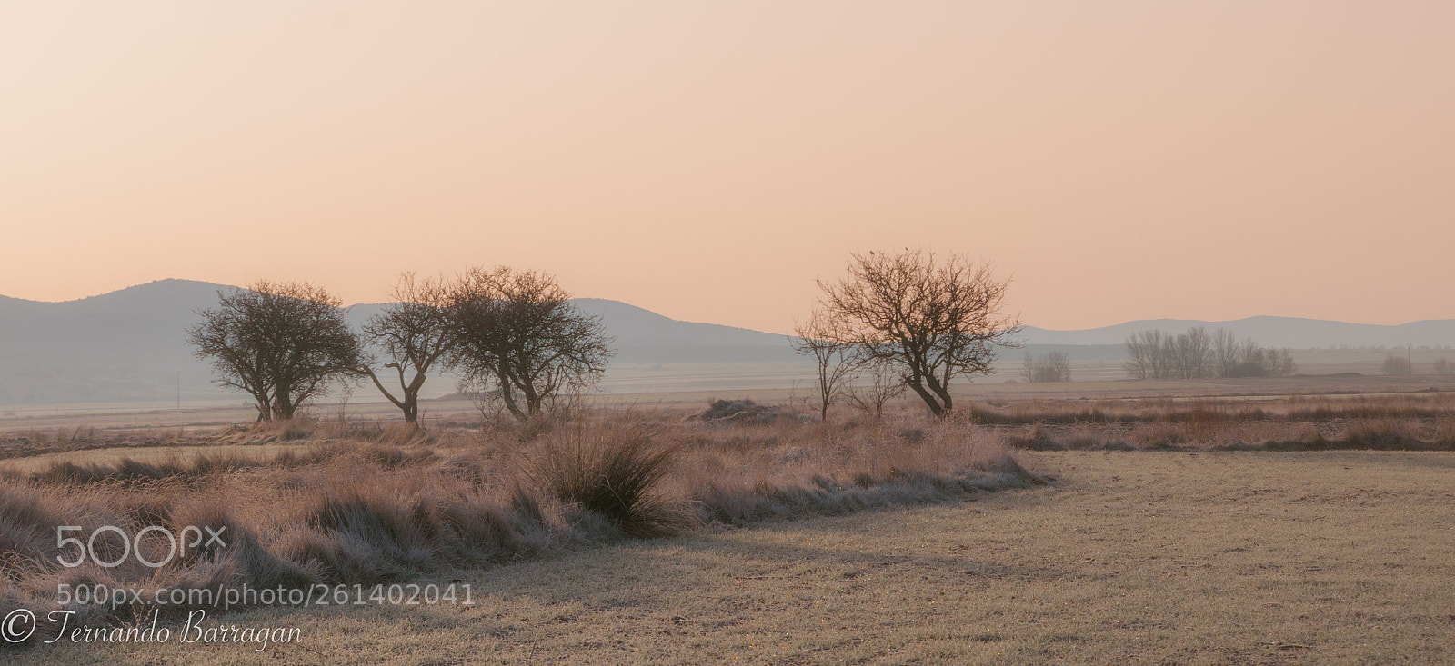 Nikon D300S sample photo. Gallocanta paisaje photography