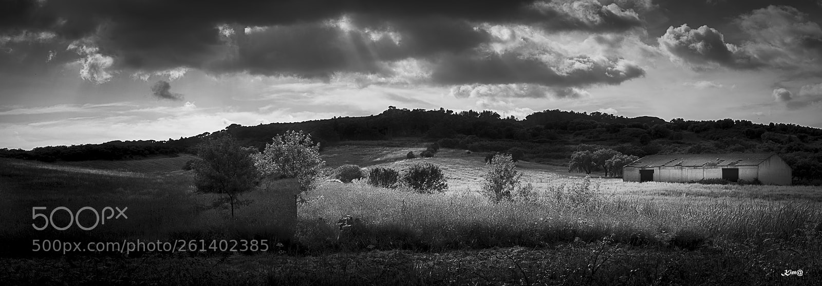 Nikon D5200 sample photo. Arrábida hills photography