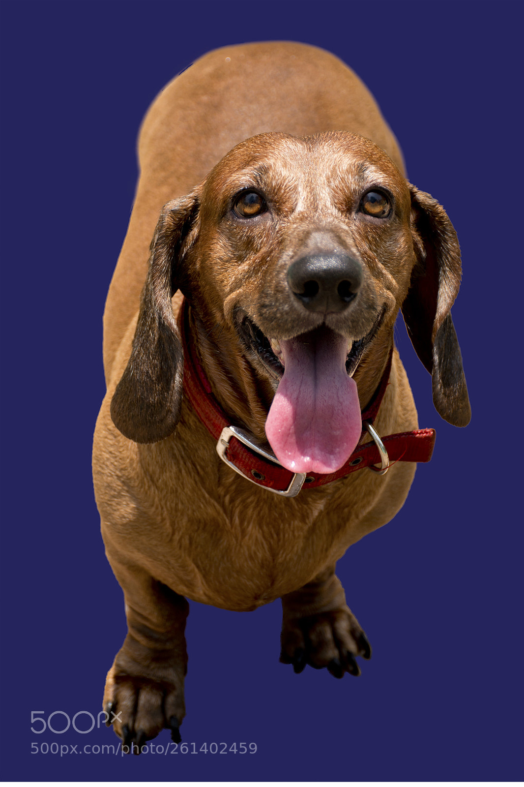 Nikon D5500 sample photo. How do i look? photography