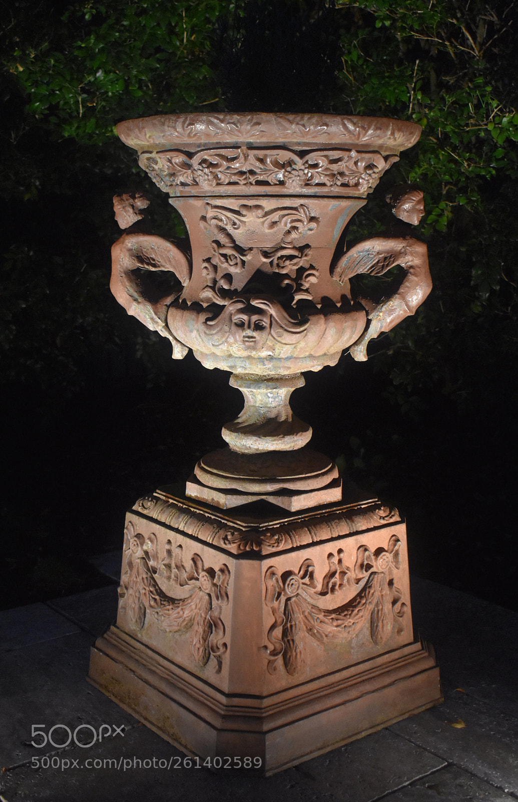 Nikon D3400 sample photo. Not all in the photography