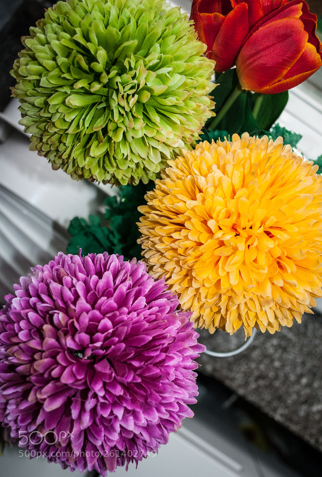 Nikon D3000 sample photo. Colour photography