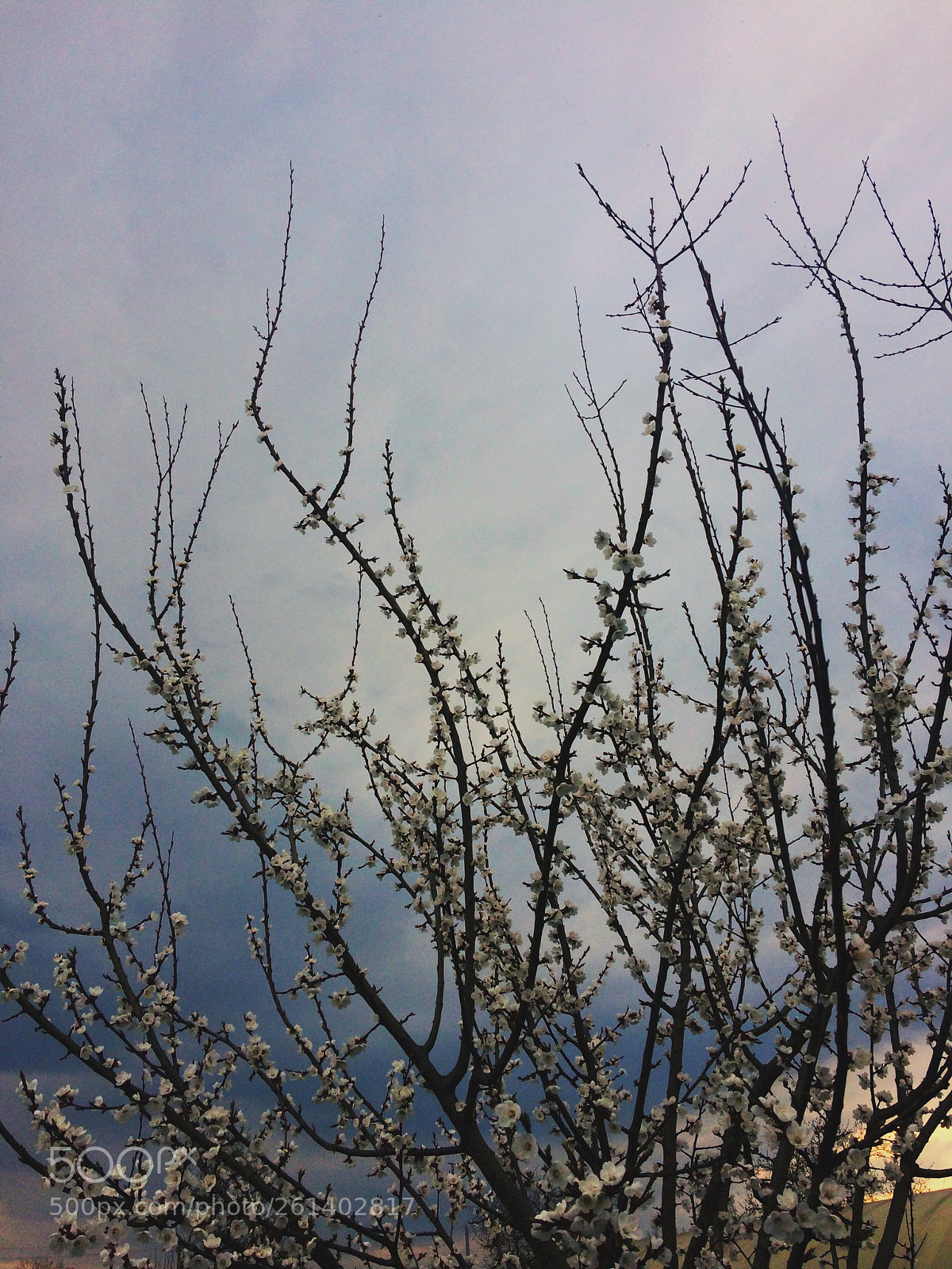 Apple iPhone 5s sample photo. Untitled photography