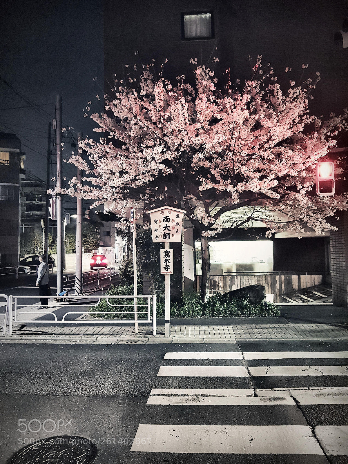 Samsung Galaxy S8+ sample photo. Sakura photography