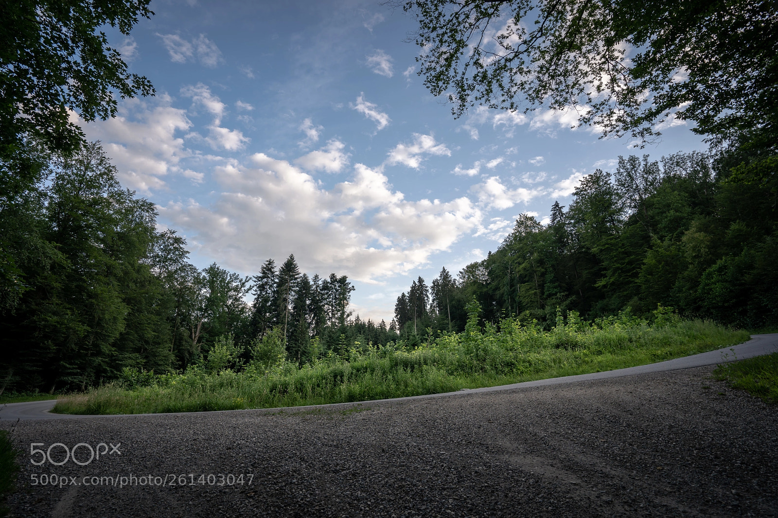 Sony a7 III sample photo. Circle of nature photography