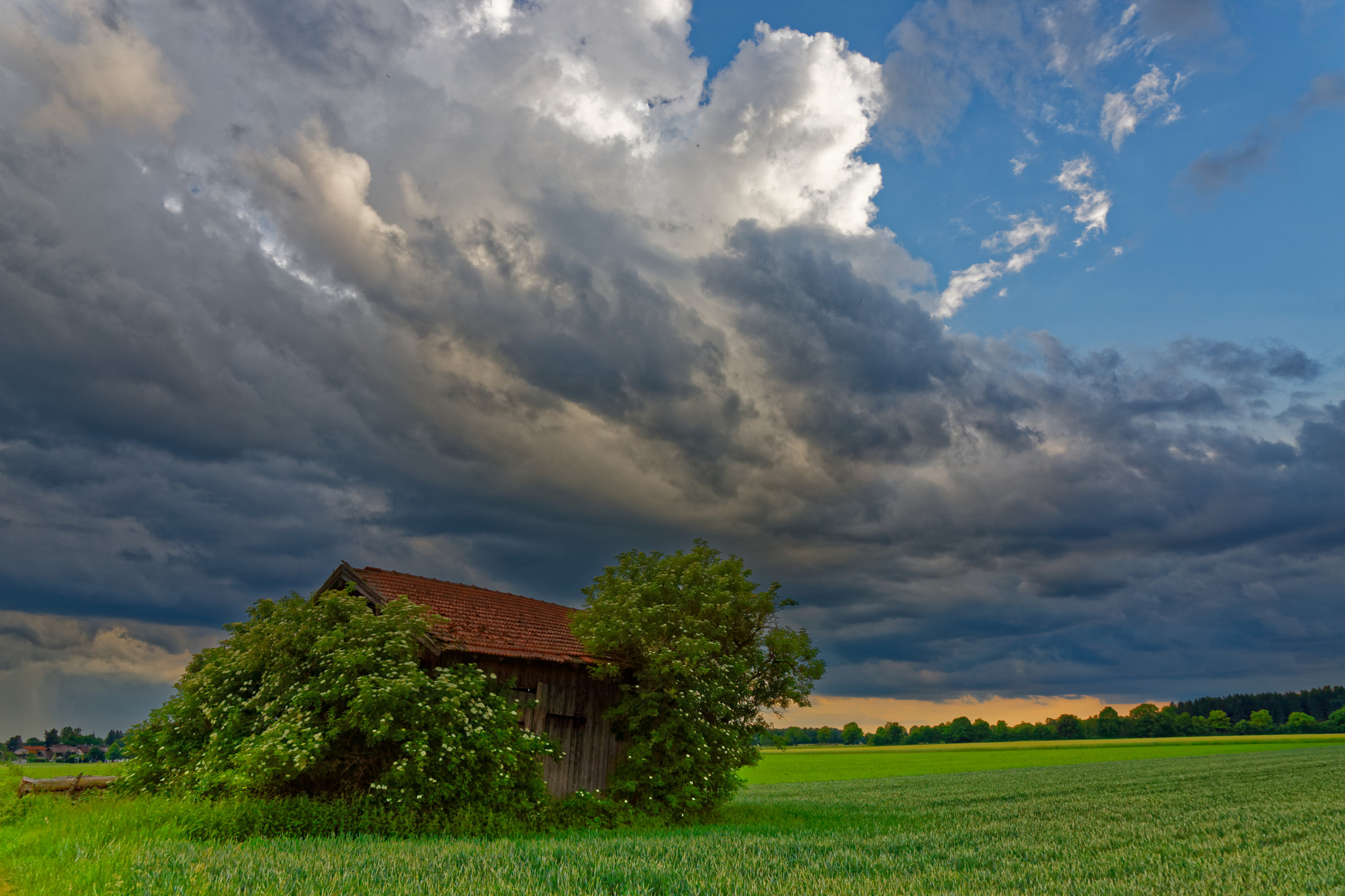 Canon EOS 6D Mark II sample photo. Before the rain photography