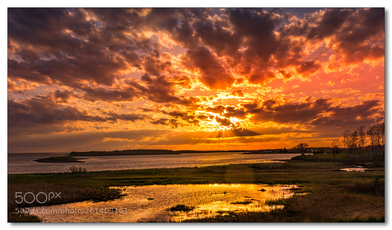 Nikon D7100 sample photo. Sun burst photography