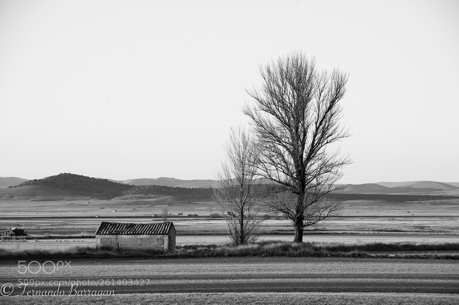 Nikon D300S sample photo. Gallocanta paisaje bn photography