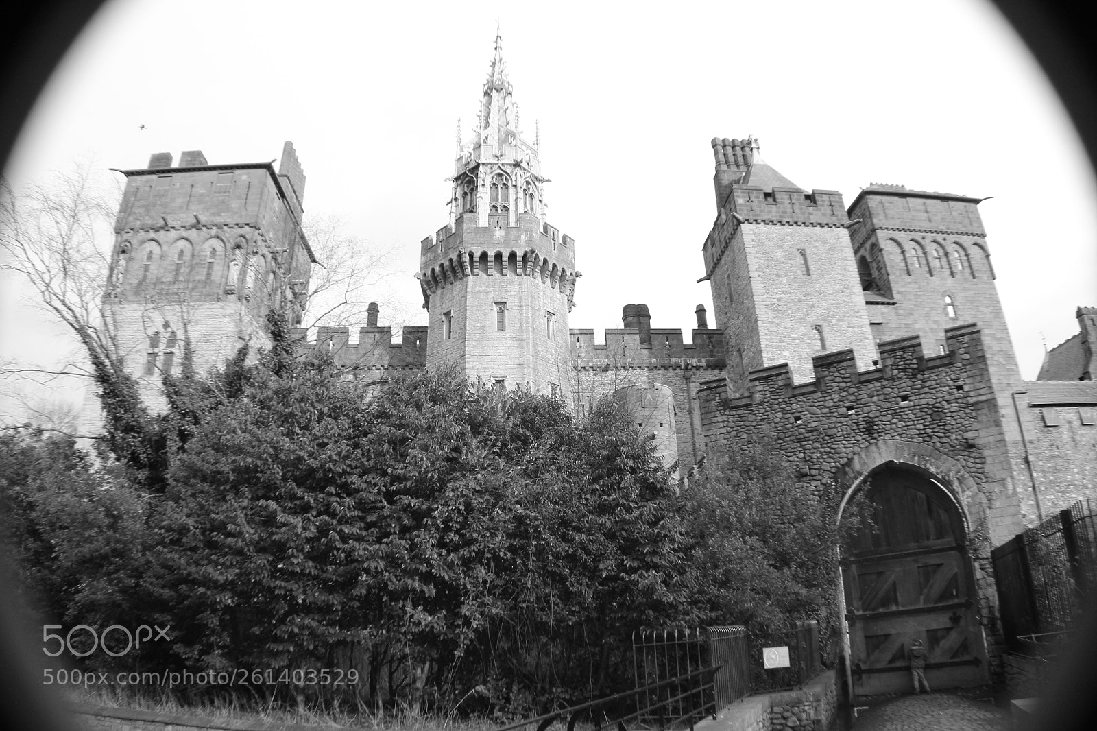 Canon EOS 550D (EOS Rebel T2i / EOS Kiss X4) sample photo. Castle in cardiff photography