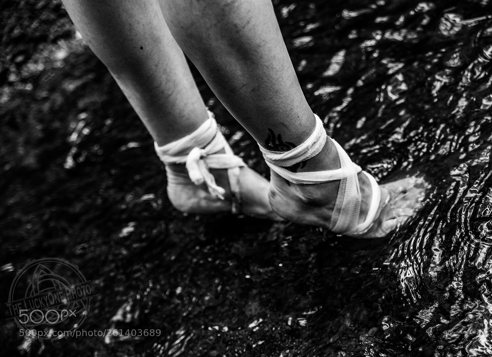Nikon D750 sample photo. Just walk... photography