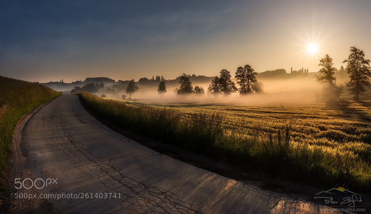 Nikon D810 sample photo. Morning on the road photography