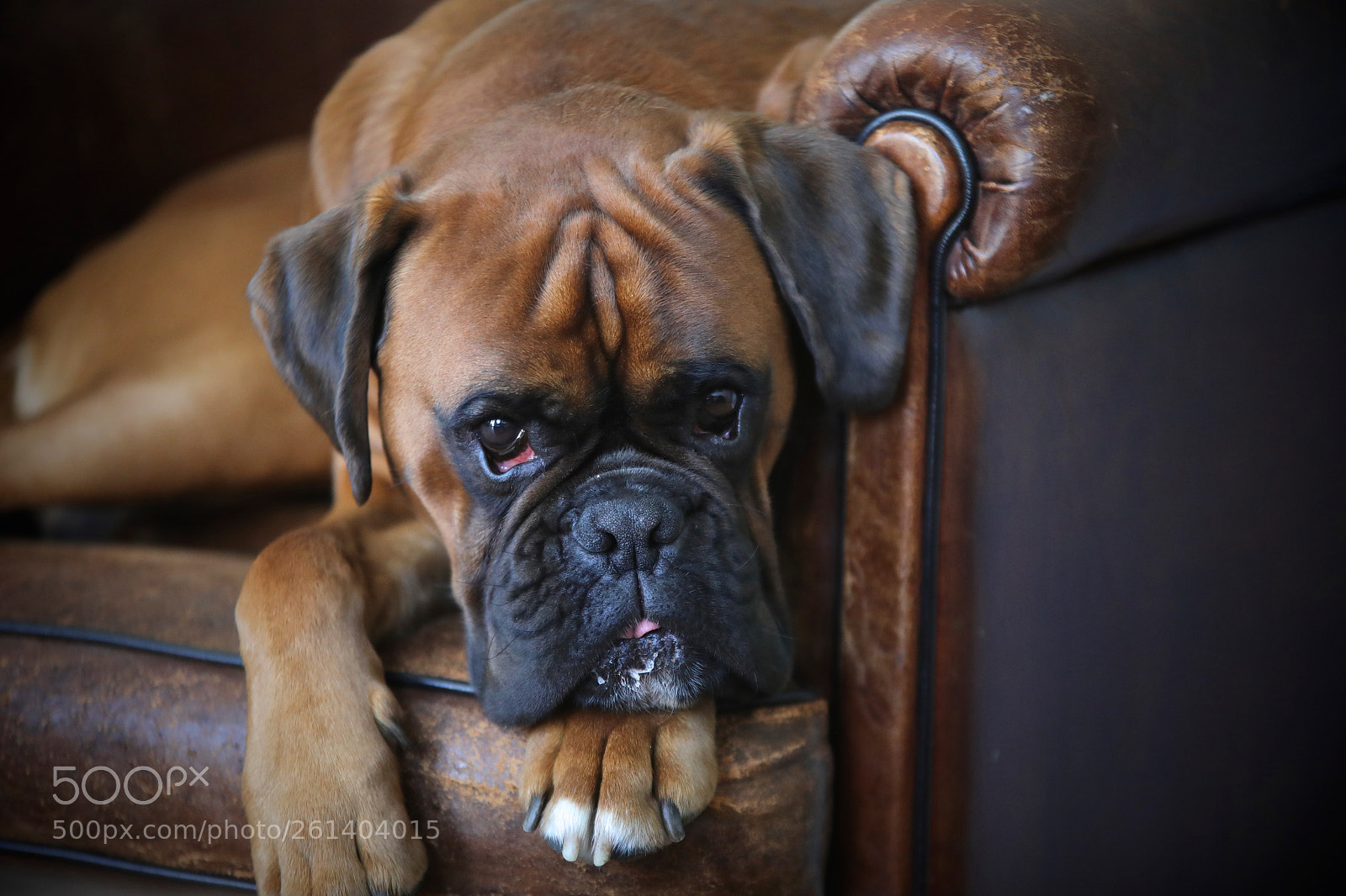 Canon EOS 5D Mark IV sample photo. Home sweet home. photography