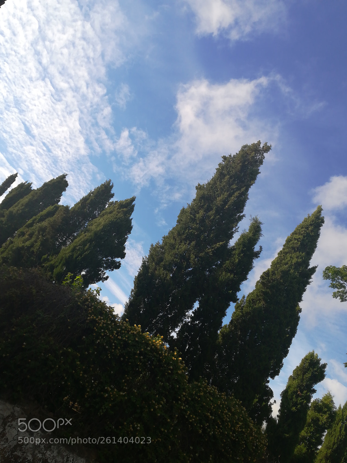 HUAWEI P10 lite sample photo. Untitled photography