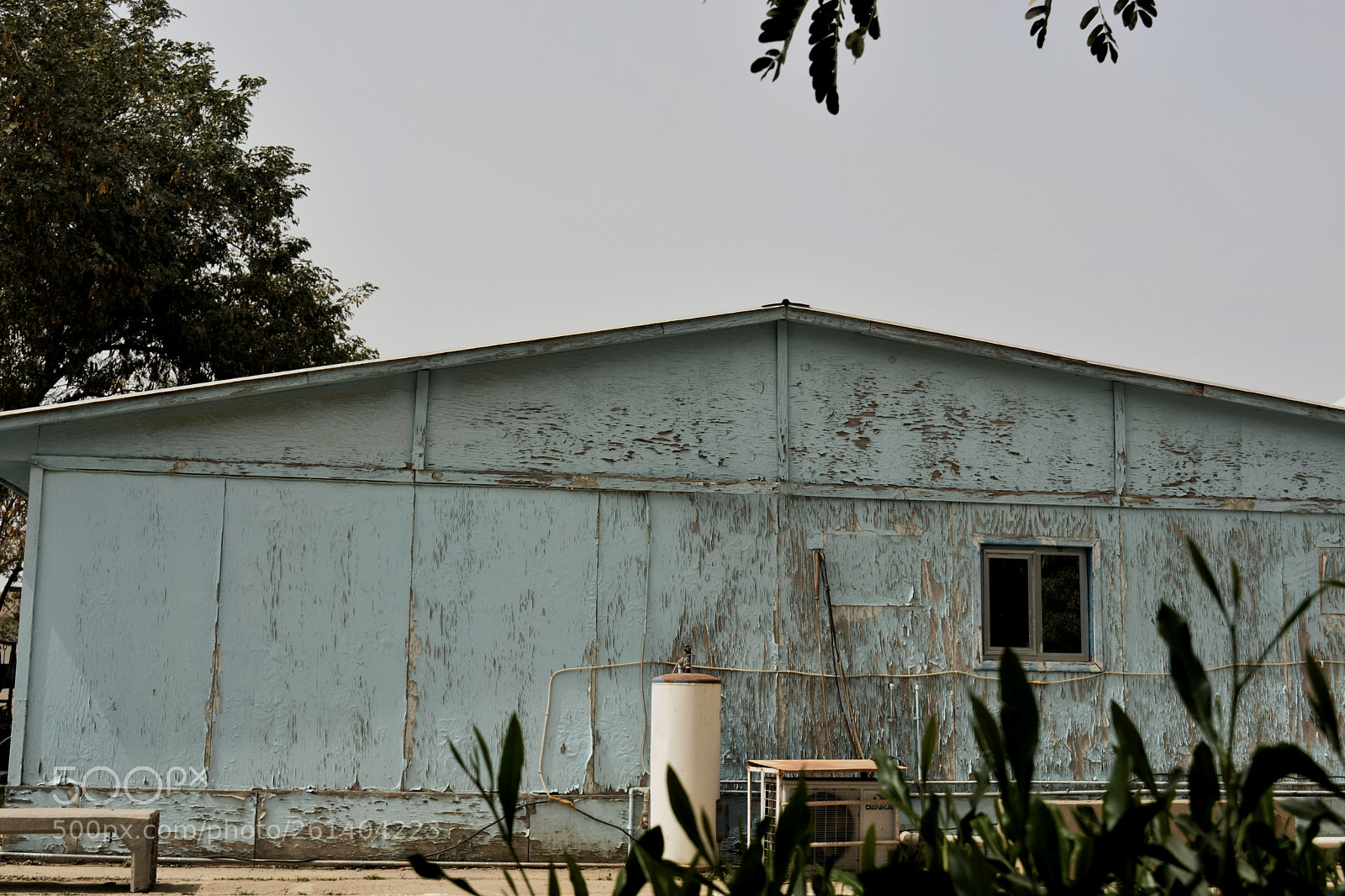 Nikon D5200 sample photo. Untitled photography