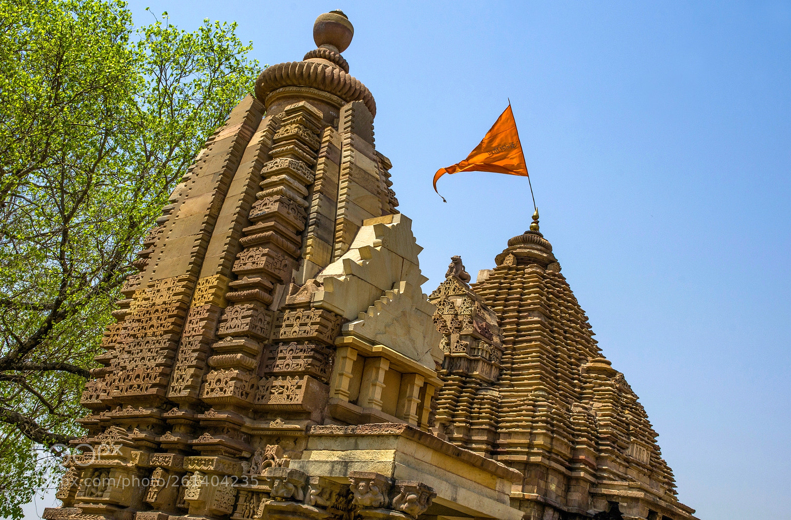 Nikon D7000 sample photo. Orange flag photography