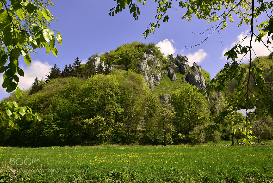 Nikon D5300 sample photo. Ojcowski park narodowy photography