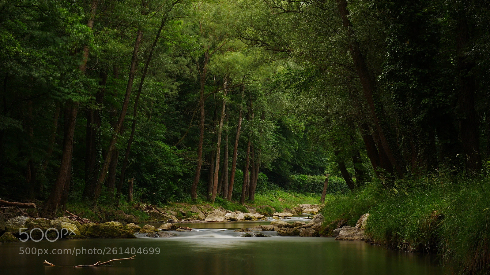 Panasonic Lumix DMC-GX85 (Lumix DMC-GX80 / Lumix DMC-GX7 Mark II) sample photo. Woods photography