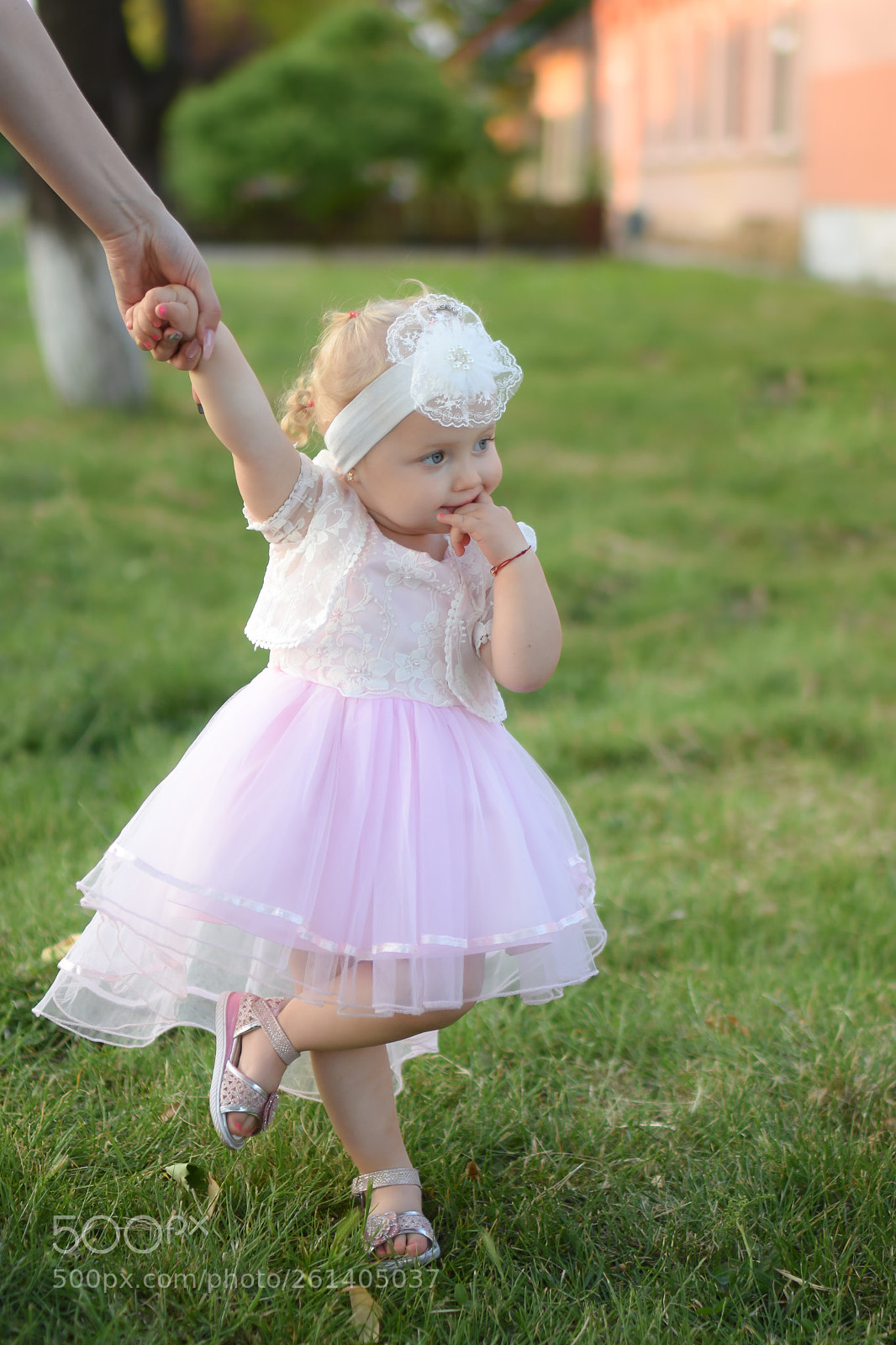 Nikon D7200 sample photo. Fine art photography