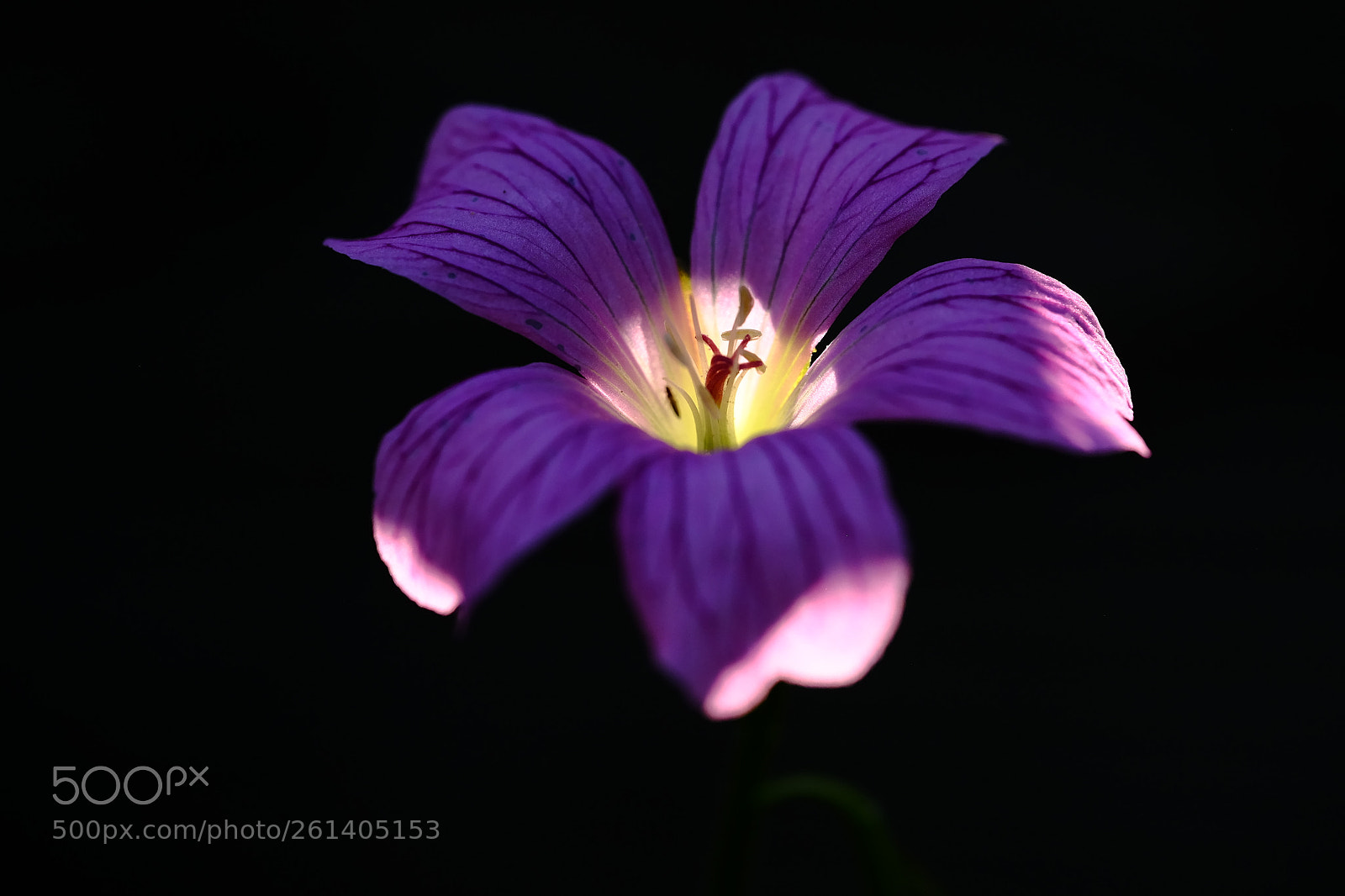 Fujifilm X-T10 sample photo. 578 photography
