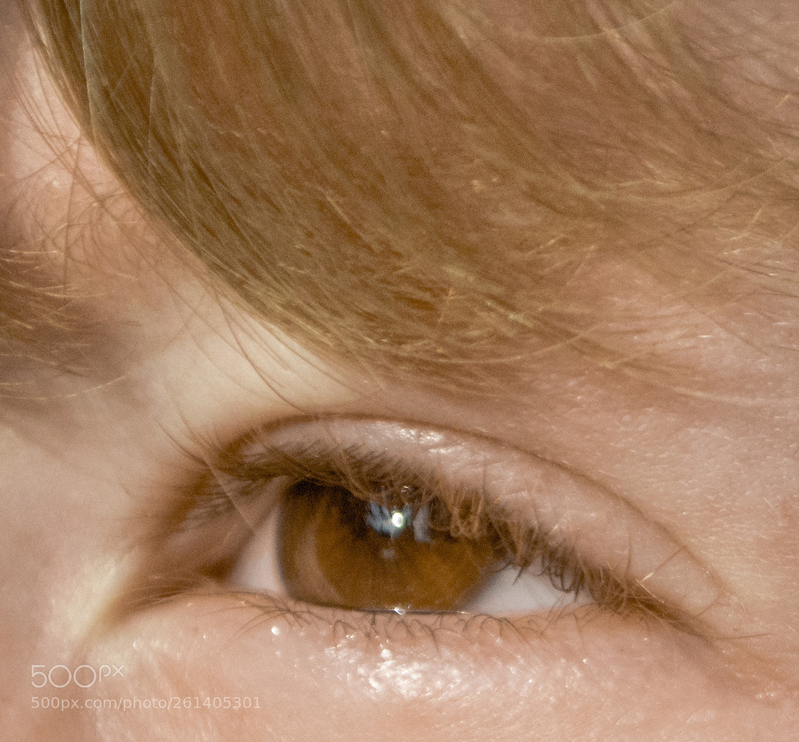 Nikon D3100 sample photo. Up close and personal photography