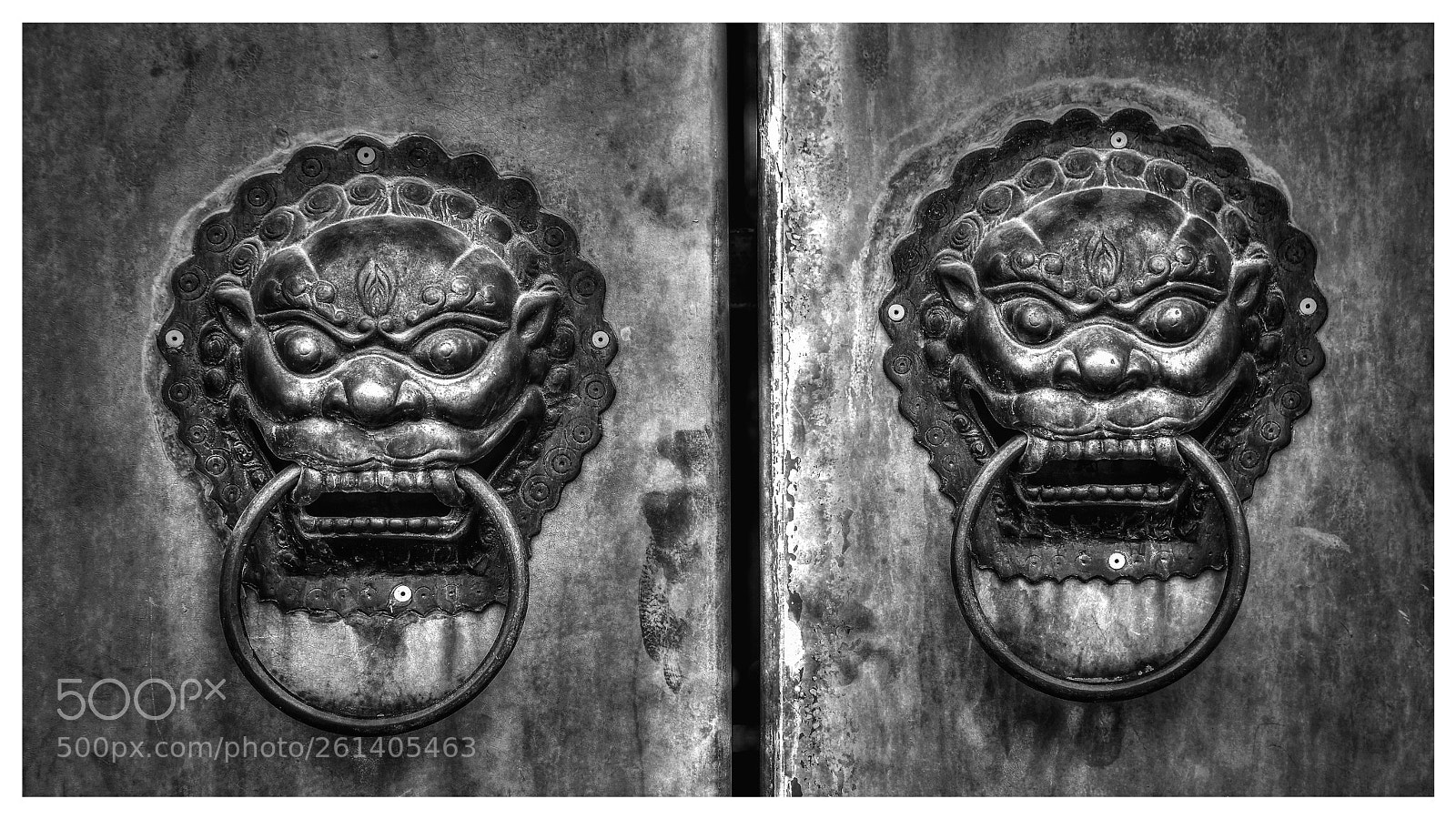 Nikon D7100 sample photo. Untitled photography