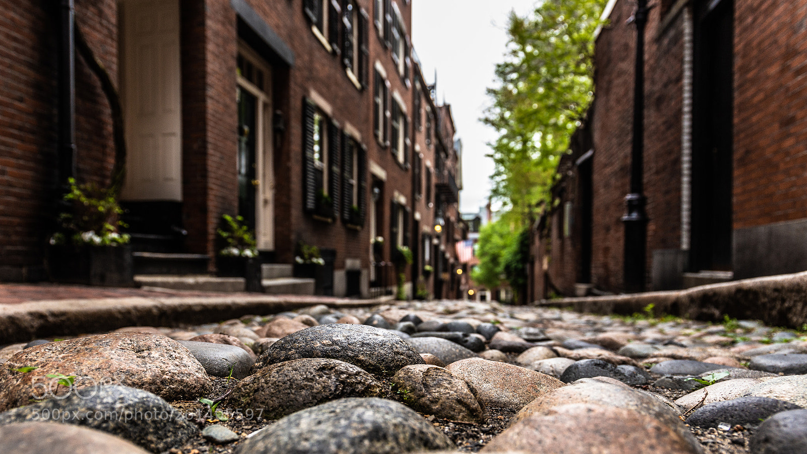 Canon EOS 6D sample photo. Acorn street photography