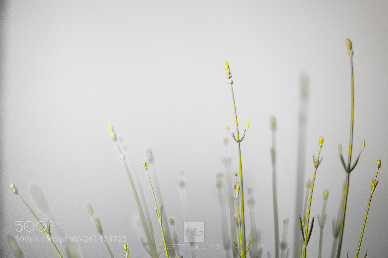 Canon EOS 6D sample photo. I believe in simplicity photography