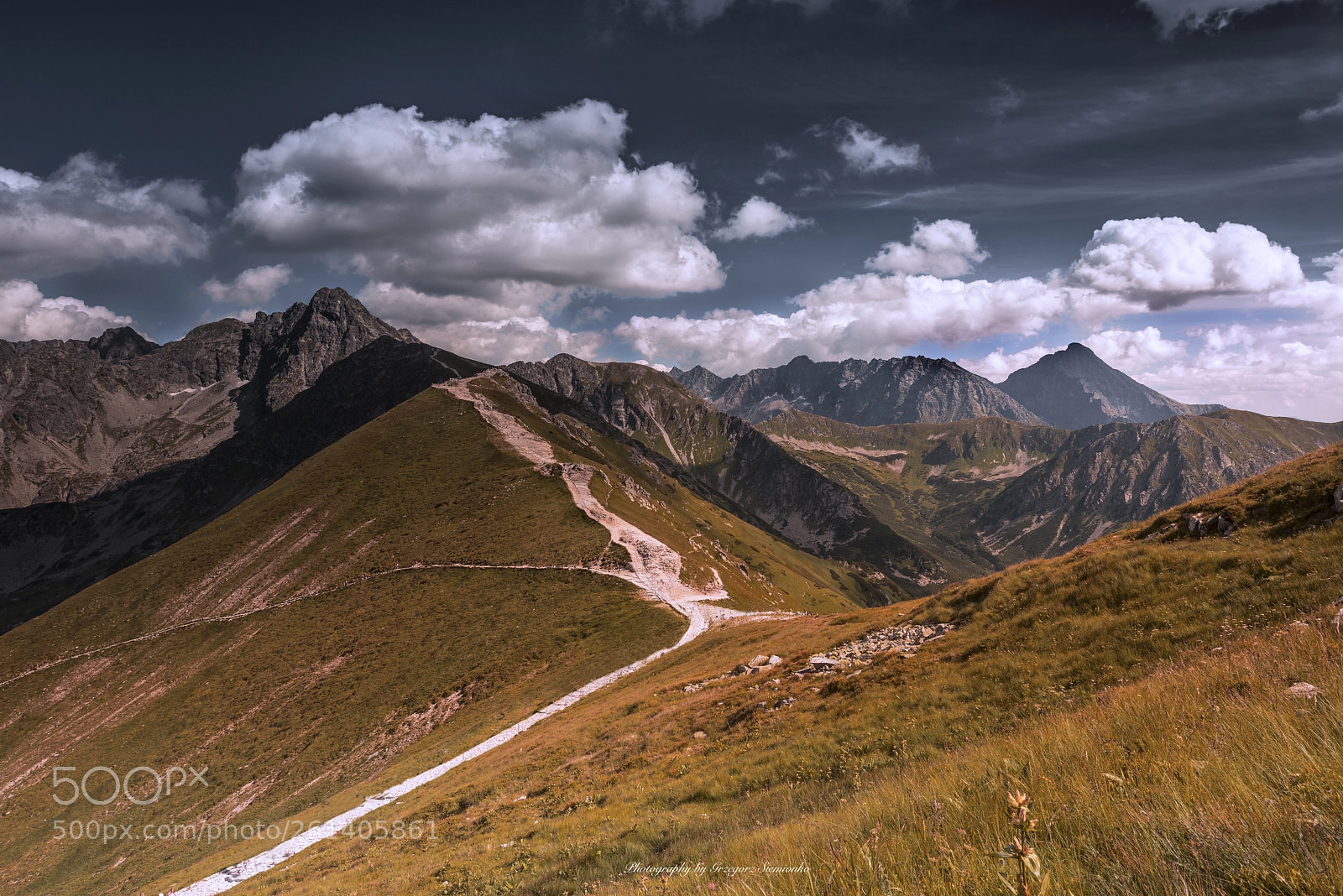 Nikon D810 sample photo. View of the tatra photography