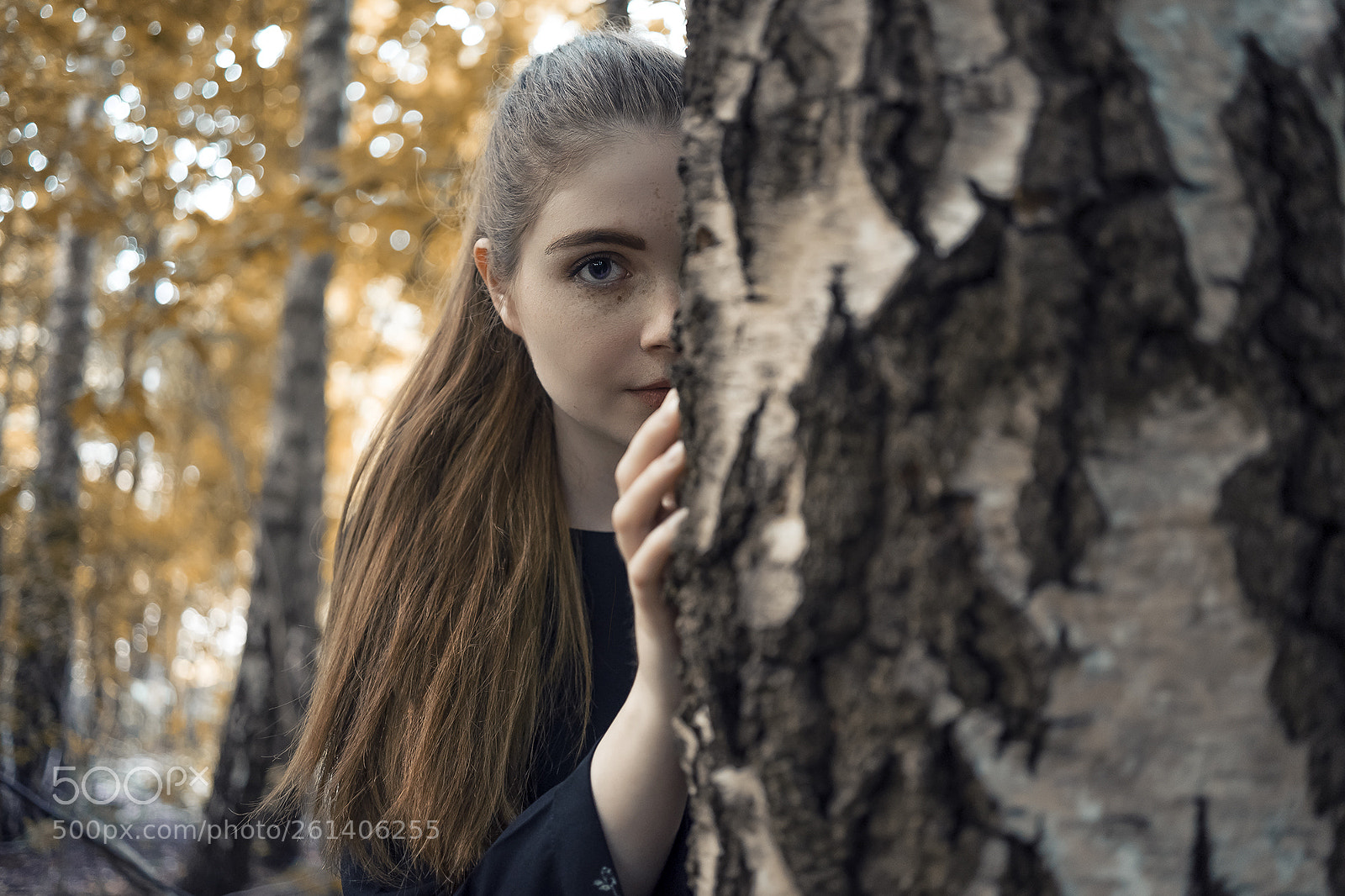 Sony a7 II sample photo. Birch photography