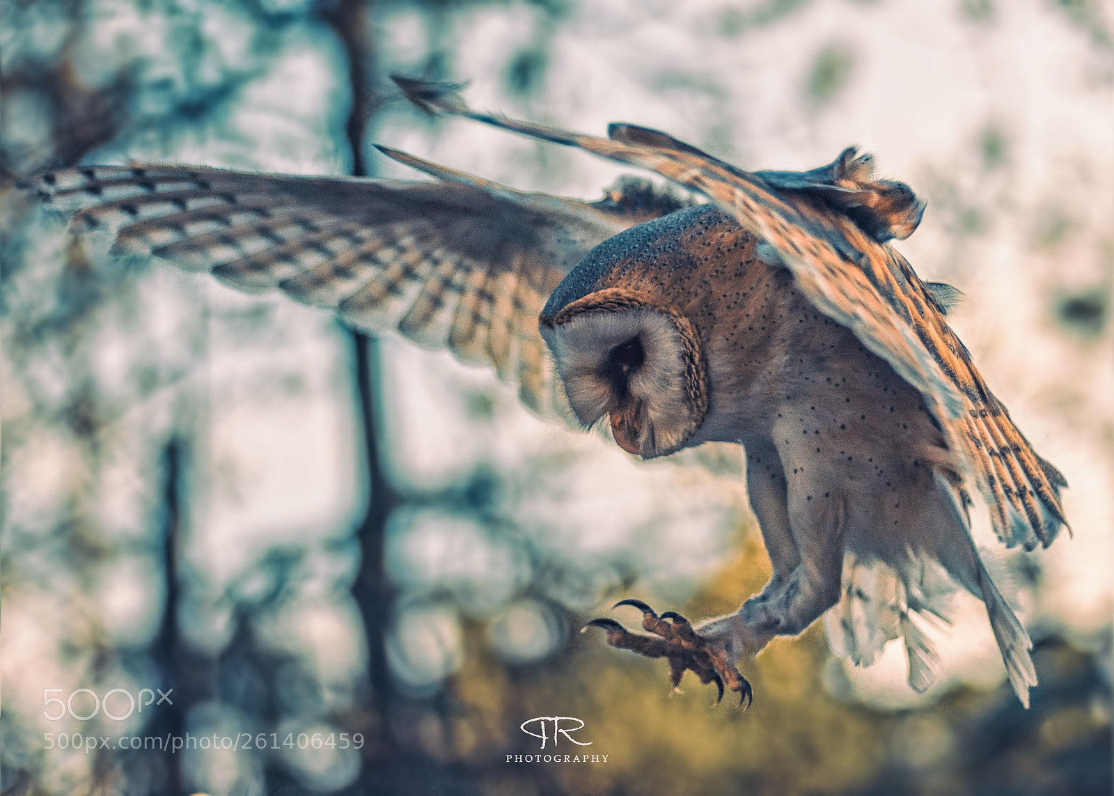 Canon EOS 80D sample photo. Hunter photography