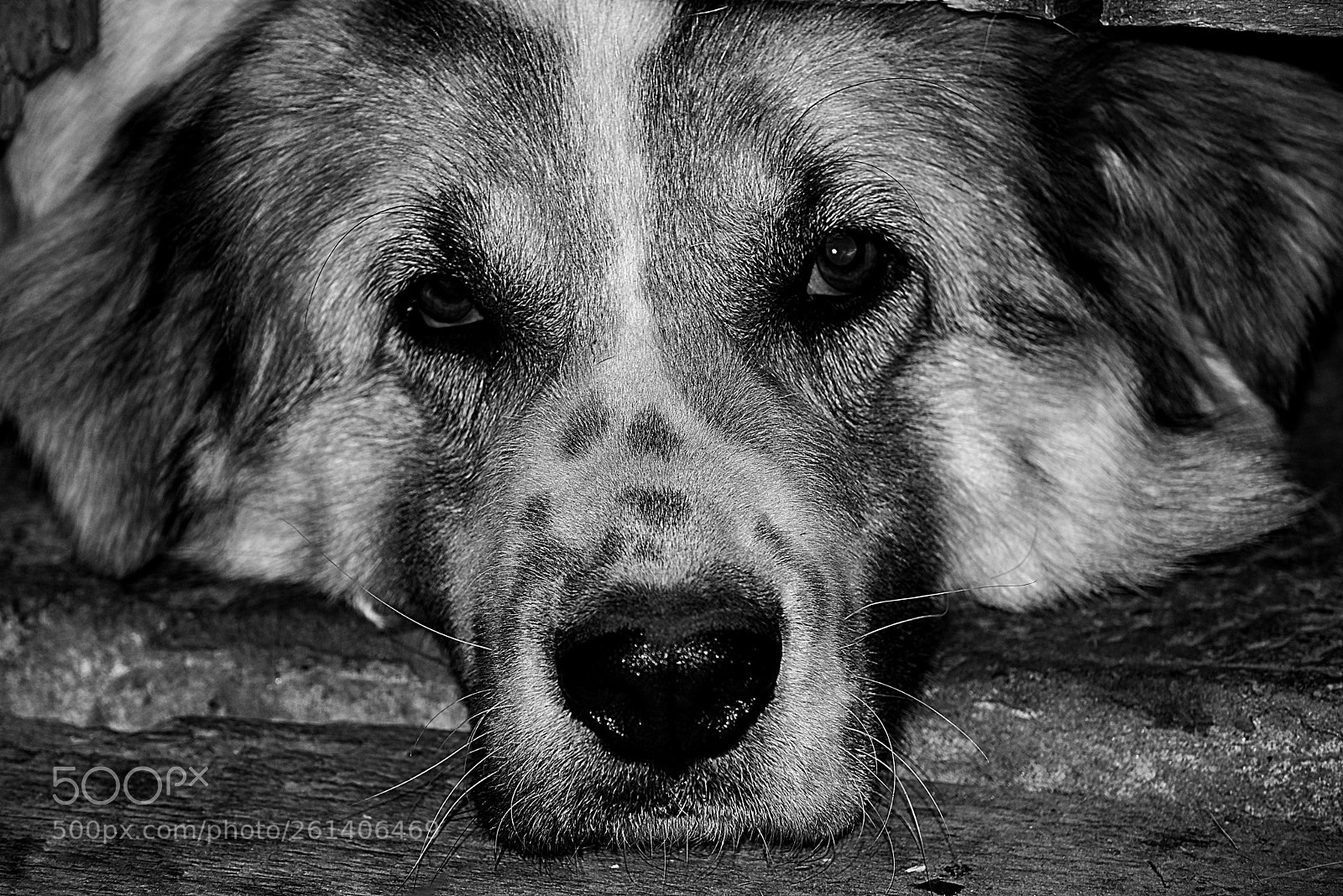 Nikon D750 sample photo. [] snapseed photography